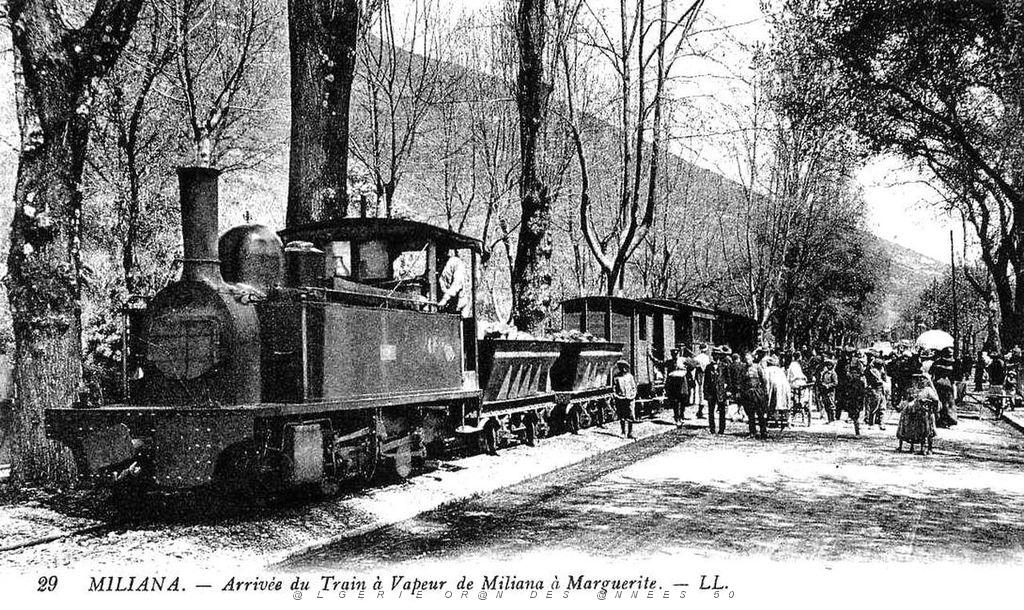 Miliana 001.JPG